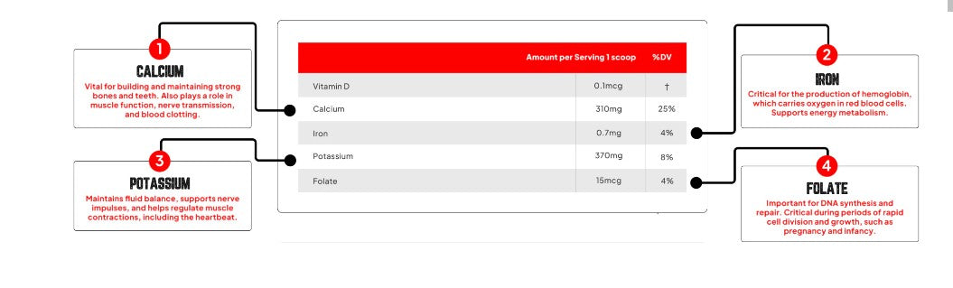 Enhanced Huge Mass Gainer (12 Lbs)